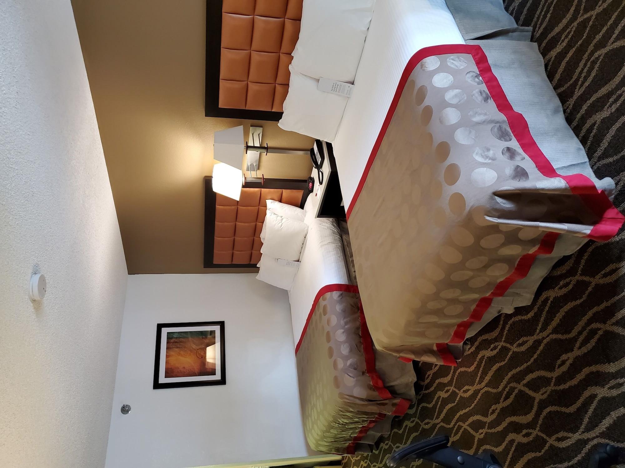 Ramada By Wyndham Temple Terrace/Tampa North Hotel Exterior foto